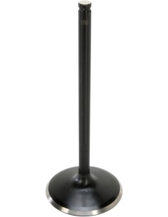 Black Diamond™ Motorventil