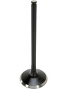 Black Diamond™ Motorventil