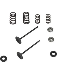 Einlass Edelstahl-Umrüstventil und Feder-Kit