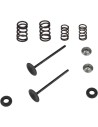 Einlass Edelstahl-Umrüstventil und Feder-Kit