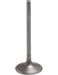 Tensilite® Titan-Motorventil