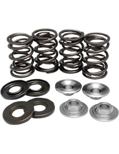 Ventilfeder-Kit