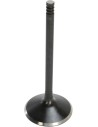 Nitrierte Ventile