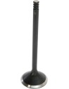 Nitrierte Ventile