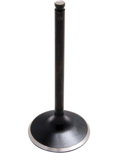 Black Diamond™ Motorventil