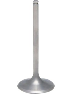 Tensilite® Titan-Motorventil