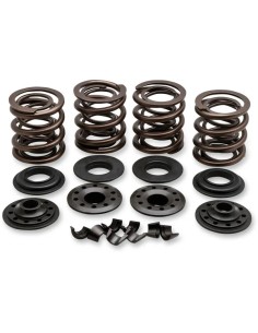 OEM Ersatz-Ventilfedernsatz