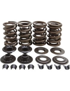 Racing Ventilfeder-Kit