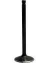 Nitrierte Ventile