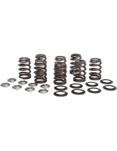 Beehive Valve™ Ventilfeder-Kit