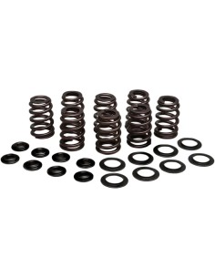 Beehive Valve™ Ventilfeder-Kit