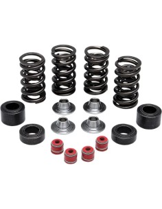 Ventilfeder-Kit