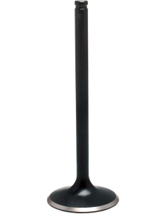 Black Diamond™ Motorventil