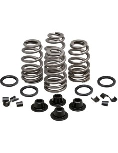 Beehive Valve™ Ventilfeder-Kit