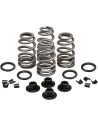 Beehive Valve™ Ventilfeder-Kit
