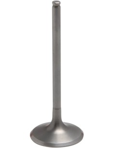 Tensilite® Titan-Motorventil