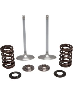 Einlass Edelstahl-Umrüstventil und Feder-Kit