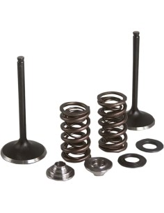 Einlass Edelstahl-Umrüstventil und Feder-Kit