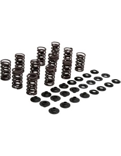Leichtes Racing-Ventilfeder-Kit