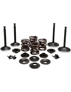 Motorventil-Kit