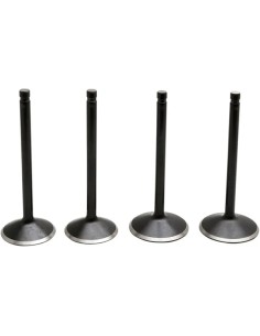 Black Diamond™ Motorventilsatz