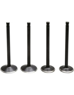 Black Diamond™ Motorventilsatz