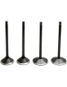 Black Diamond™ Motorventilsatz