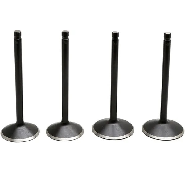 KIBBLEWHITE Ventilsteuerung für Harley Davidson FLHR 1450 1999-2004