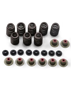 Ventilfeder-Kit
