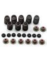 Ventilfeder-Kit