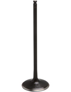 Black Diamond™ Motorventil