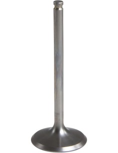 Black Diamond™ Motorventil