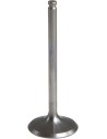 Black Diamond™ Motorventil