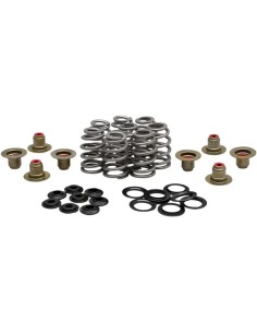 Beehive Valve™ Ventilfeder-Kit