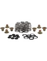 Beehive Valve™ Ventilfeder-Kit