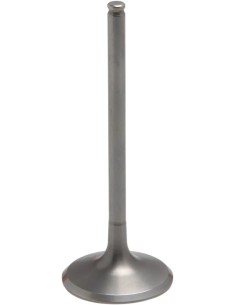 Tensilite® Titan-Motorventil