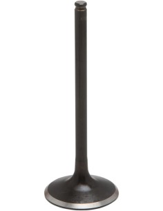 Black Diamond™ Motorventil