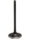 Black Diamond™ Motorventil