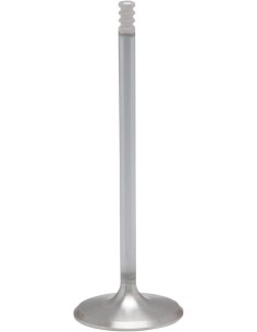 White Diamond® Motorventil