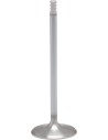 White Diamond® Motorventil