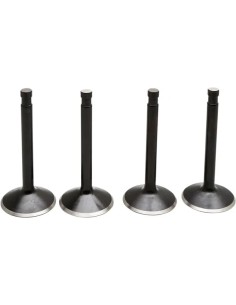 Black Diamond™ Motorventilsatz