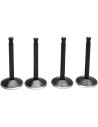 Black Diamond™ Motorventilsatz