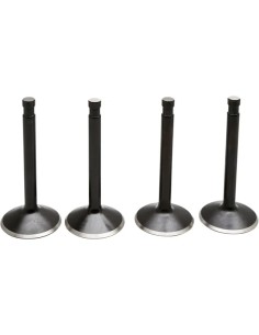 Black Diamond™ Motorventilsatz