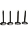 Black Diamond™ Motorventilsatz