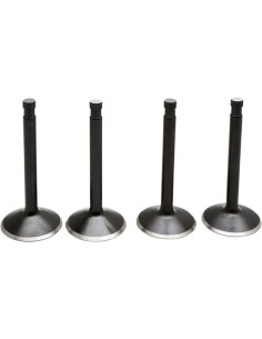 Black Diamond™ Motorventilsatz