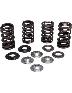 Leichtes Racing-Ventilfeder-Kit