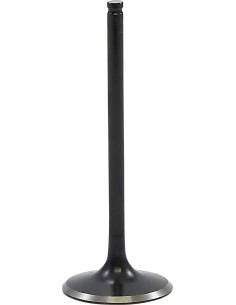 Black Diamond™ Motorventil