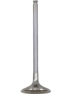 White Diamond® Motorventil