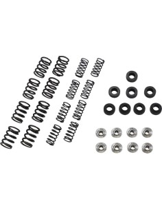 Leichtes Racing-Ventilfeder-Kit