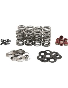 Ventilfeder-Kit
